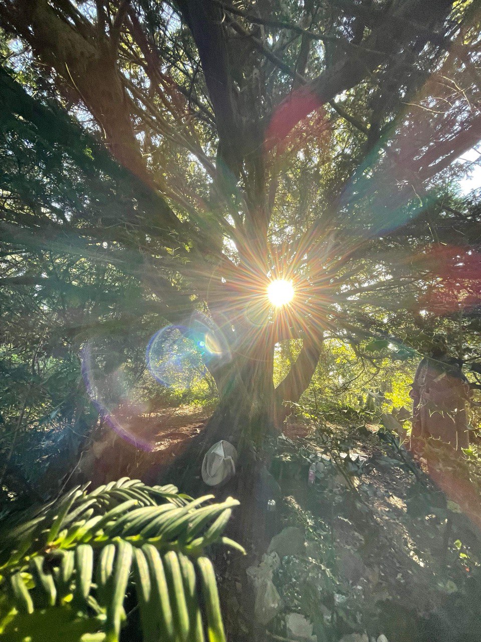 {{brizy_dc_image_alt imageSrc=